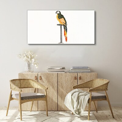 Canvas schilderij Een papegaai tegen een witte muur