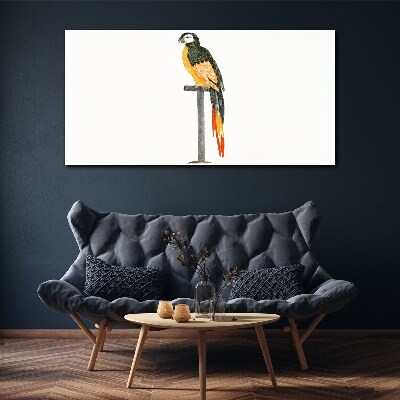 Canvas schilderij Een papegaai tegen een witte muur