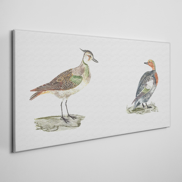 Canvas schilderij Kleurrijke vogels op een witte achtergrond