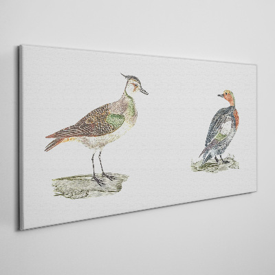 Canvas schilderij Kleurrijke vogels op een witte achtergrond