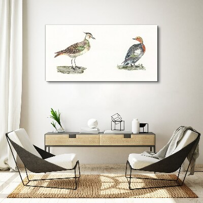 Canvas schilderij Kleurrijke vogels op een witte achtergrond