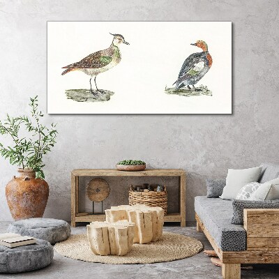 Canvas schilderij Kleurrijke vogels op een witte achtergrond