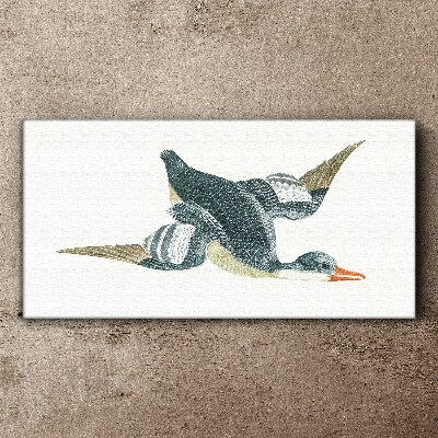 Foto op canvas Vliegende eend in pasteltinten