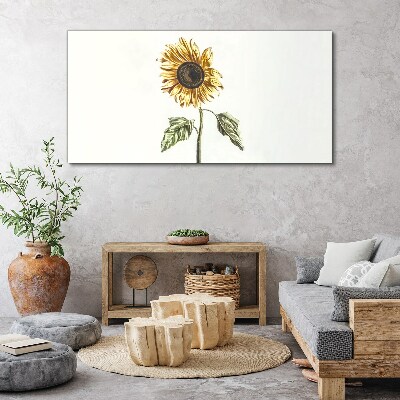 Canvas schilderij Zonnebloem op een witte achtergrond