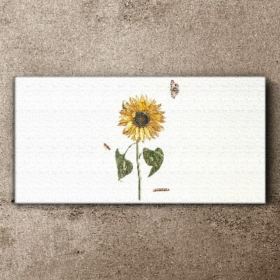 Canvas schilderij Zonnebloem in een delicate compositie