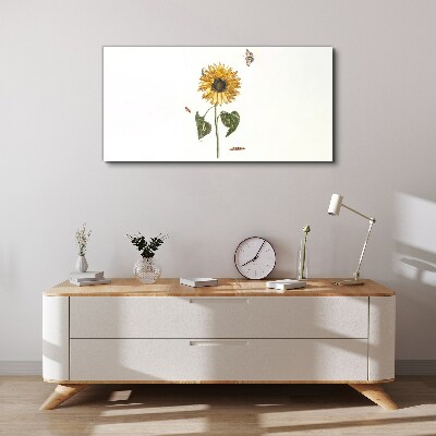 Canvas schilderij Zonnebloem in een delicate compositie