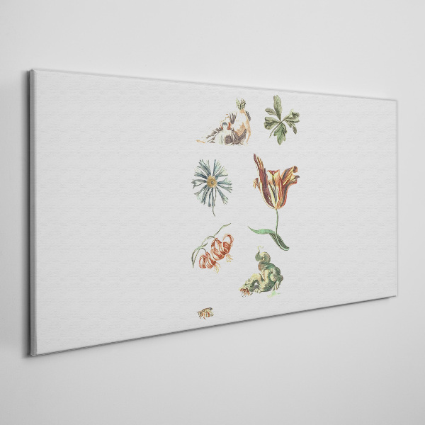 Foto op canvas Bloemeninspiraties in delicate kleuren