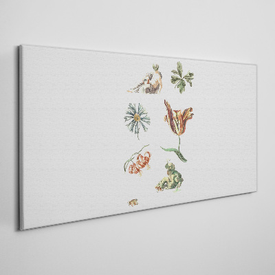 Foto op canvas Bloemeninspiraties in delicate kleuren