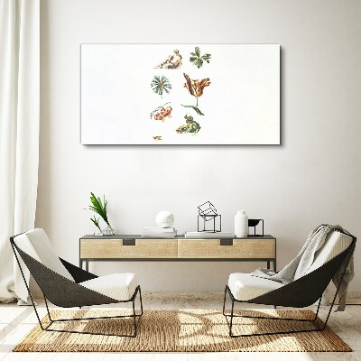 Foto op canvas Bloemeninspiraties in delicate kleuren