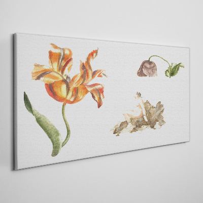 Canvas schilderij Bloemenmotieven in delicate tinten