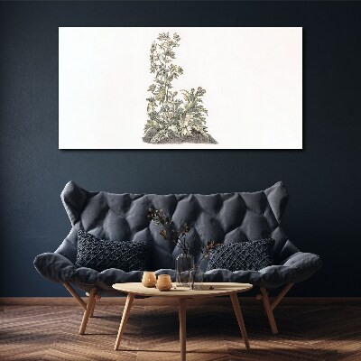 Schilderij op doek Planten in zacht licht