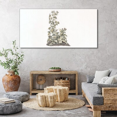 Schilderij op doek Planten in zacht licht