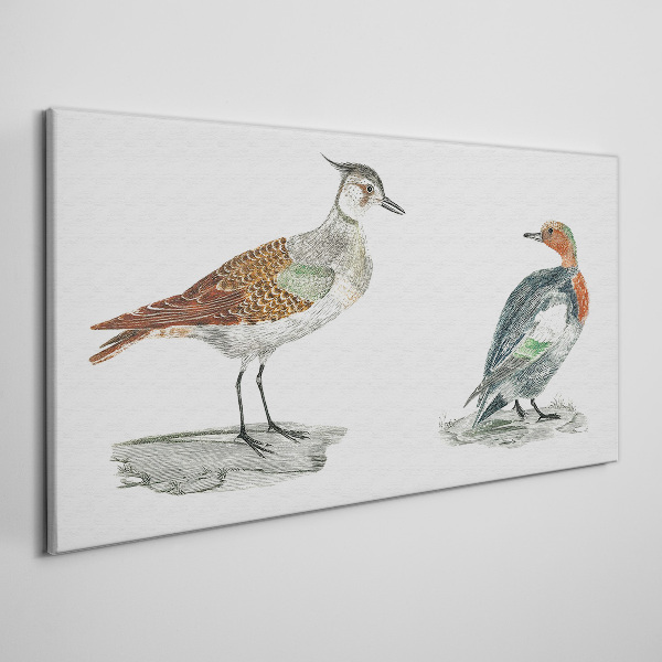 Schilderij op doek Vogels in de kleuren van de natuur