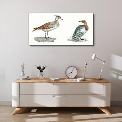 Schilderij op doek Vogels in de kleuren van de natuur