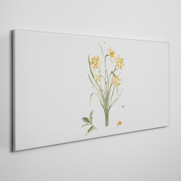 Foto op canvas Narcissenbloemen met een natuurmotief