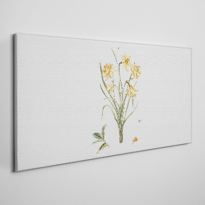 Foto op canvas Narcissenbloemen met een natuurmotief