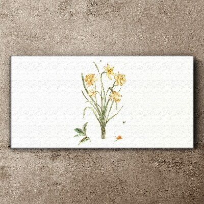 Foto op canvas Narcissenbloemen met een natuurmotief