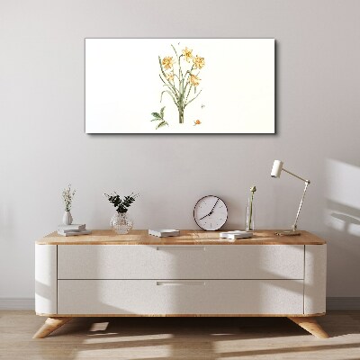 Foto op canvas Narcissenbloemen met een natuurmotief