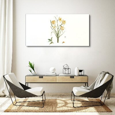 Foto op canvas Narcissenbloemen met een natuurmotief