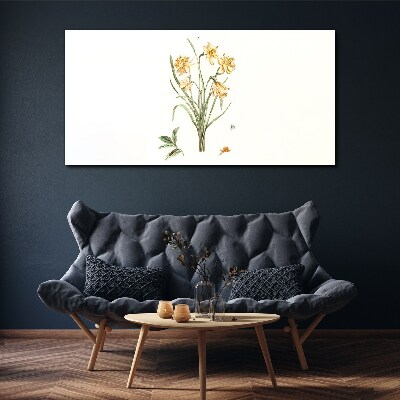 Foto op canvas Narcissenbloemen met een natuurmotief
