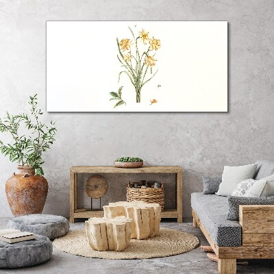 Foto op canvas Narcissenbloemen met een natuurmotief