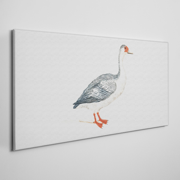 Foto op canvas Gans in delicate tinten