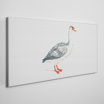 Foto op canvas Gans in delicate tinten