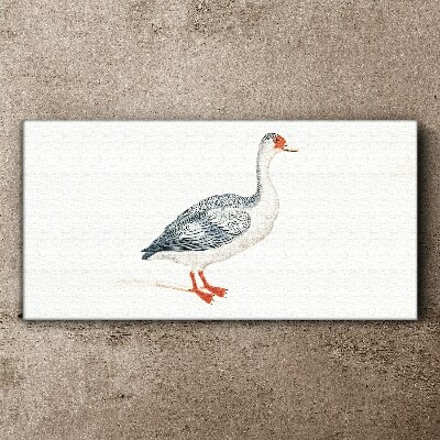 Foto op canvas Gans in delicate tinten