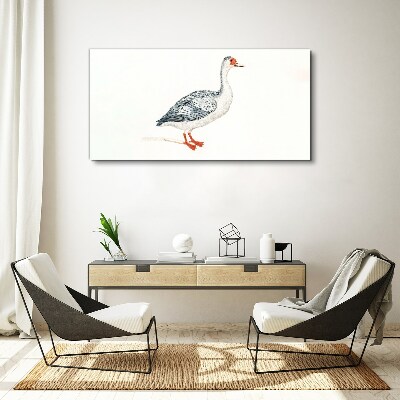 Foto op canvas Gans in delicate tinten