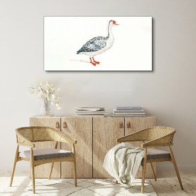 Foto op canvas Gans in delicate tinten