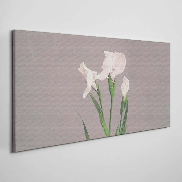 Foto op canvas Bloemen op een grijze achtergrond