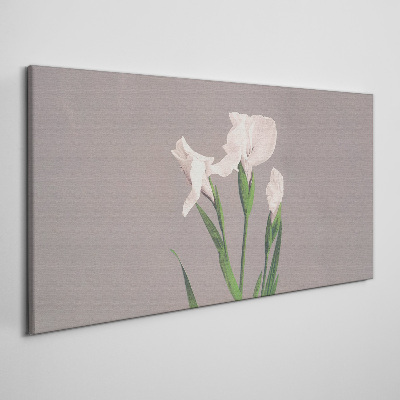 Foto op canvas Bloemen op een grijze achtergrond