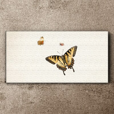 Foto op canvas Vlinders in delicate harmonie