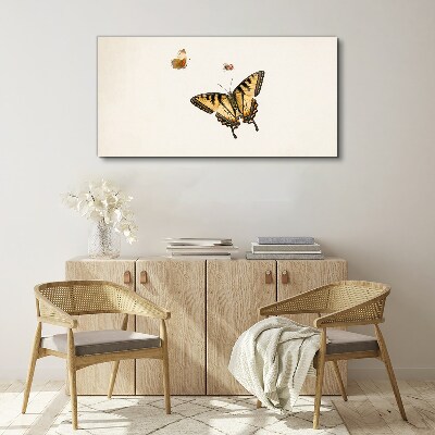 Foto op canvas Vlinders in delicate harmonie