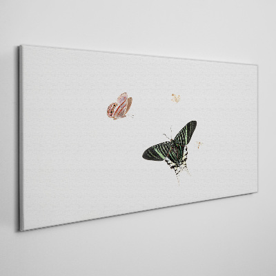 Schilderij op doek Vlinders in een delicate dans