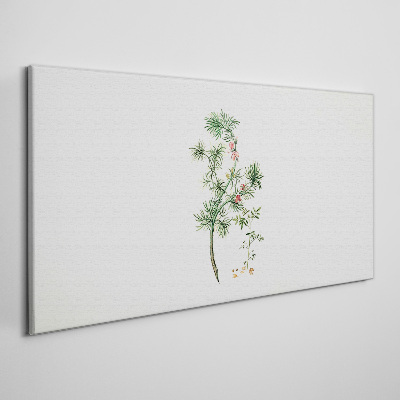 Foto op canvas Delicate vegetatie in pastelkleuren