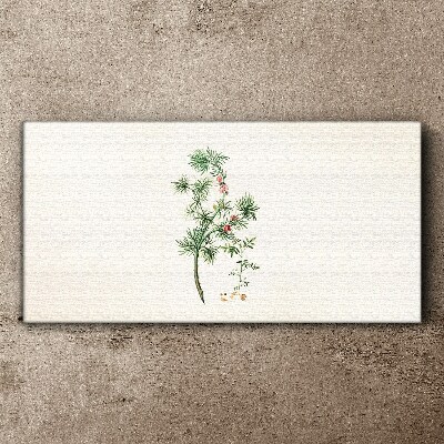 Foto op canvas Delicate vegetatie in pastelkleuren