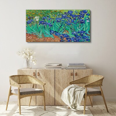 Foto op canvas Irissen in bloei