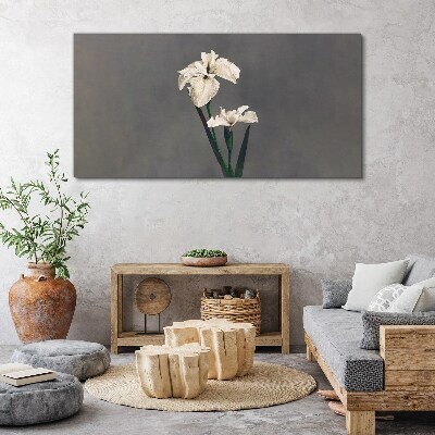 Foto op canvas Witte irissen op een grijze achtergrond