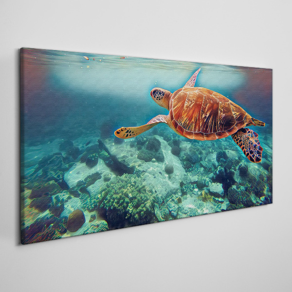 Foto op canvas Schildpad in kalme wateren