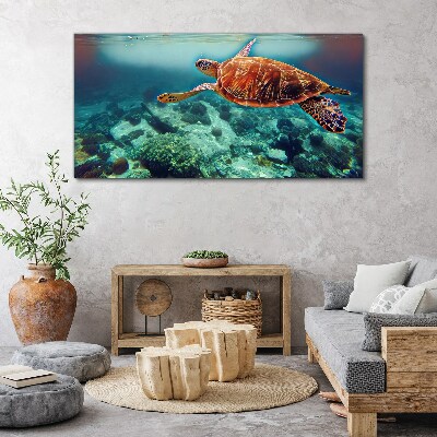 Foto op canvas Schildpad in kalme wateren