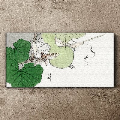 Foto op canvas Vlinders en planten in harmonie