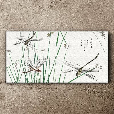 Foto op canvas Slanke libellen in een groene omgeving