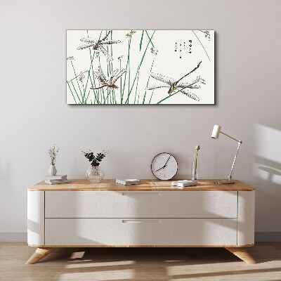 Foto op canvas Slanke libellen in een groene omgeving