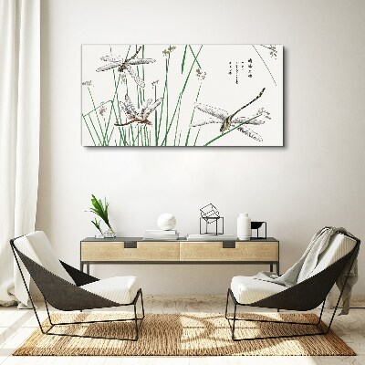 Foto op canvas Slanke libellen in een groene omgeving