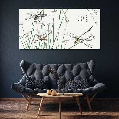 Foto op canvas Slanke libellen in een groene omgeving