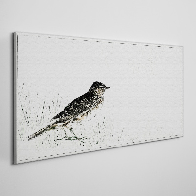 Foto op canvas Een vogel op het gras