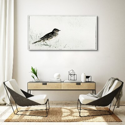 Foto op canvas Een vogel op het gras