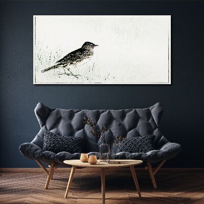 Foto op canvas Een vogel op het gras