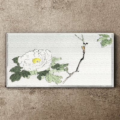 Foto op canvas Bloemenharmonie